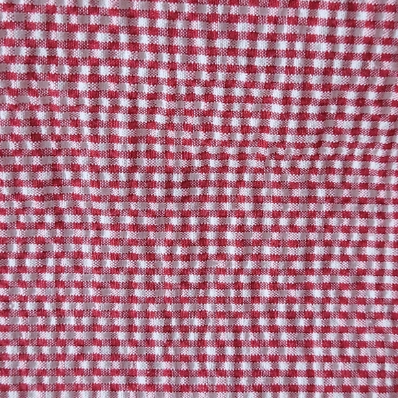 C.D. Daniels Women's Shirt Red and White Check Seersucker Size 2X EUC - Picture 3 of 4